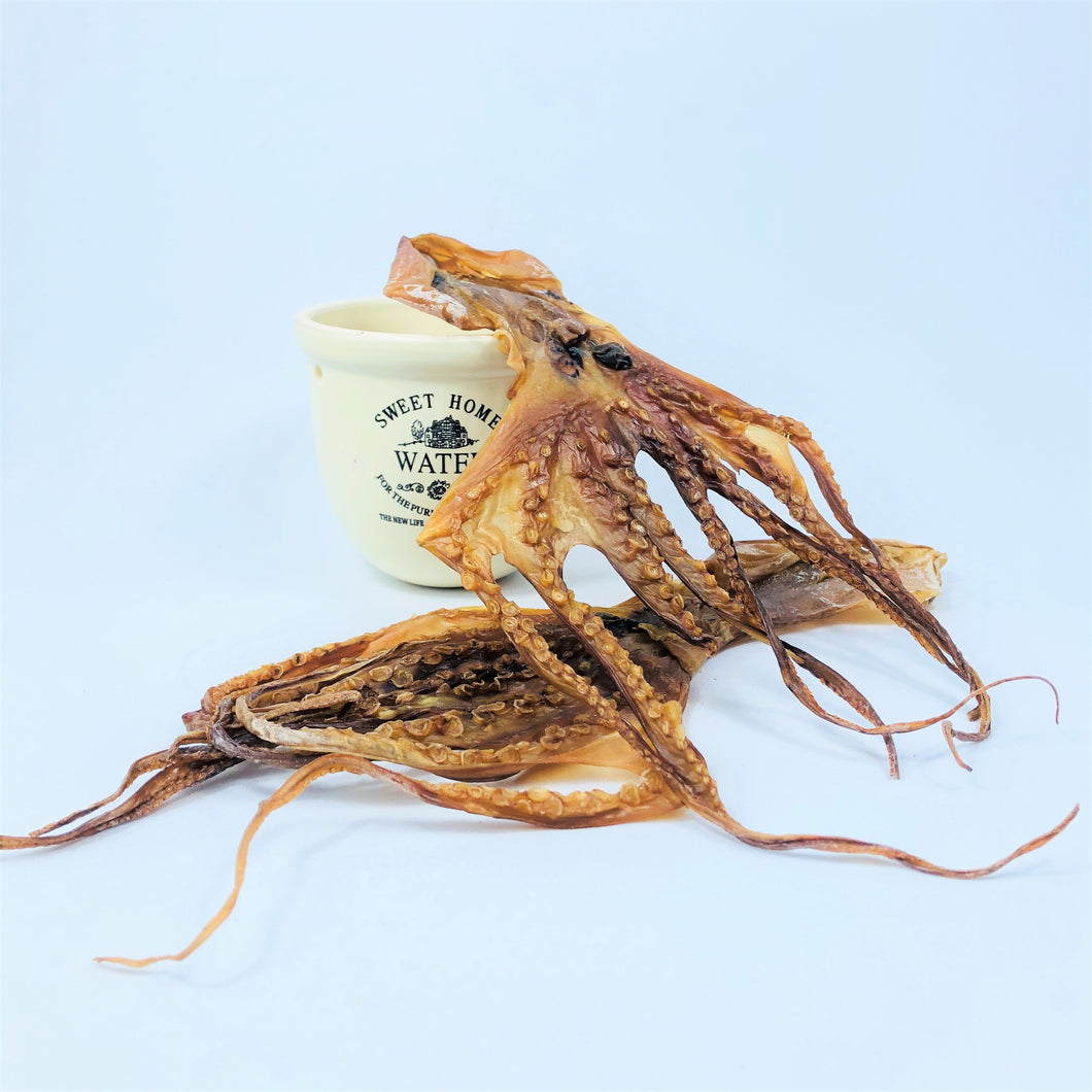 Dried Octopus
